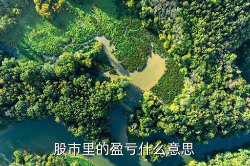 股票總盈虧是什么意思，總盈虧與當(dāng)前浮動盈虧有什么區(qū)別