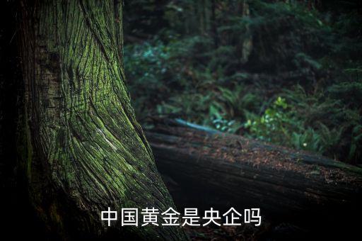 中國黃金為什么是央企品牌，中國黃金在各城市的店鋪是中國黃金直營的還是加盟的如果是直營