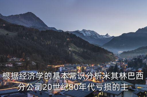 根據(jù)經(jīng)濟學(xué)的基本常識分析米其林巴西分公司20世紀80年代虧損的主