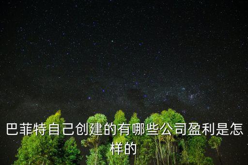 巴菲特是想收購中國的什么公司，巴菲特自己創(chuàng)建的有哪些公司盈利是怎樣的
