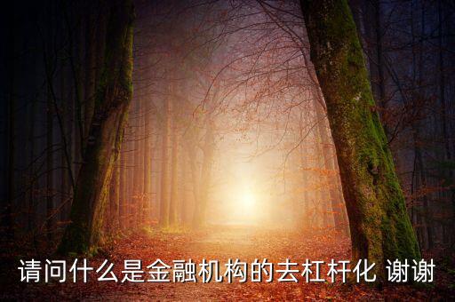 請問什么是金融機構的去杠桿化 謝謝
