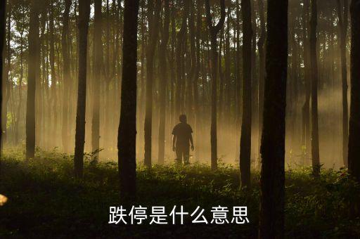 什么是掛跌停，跌停是什么意思