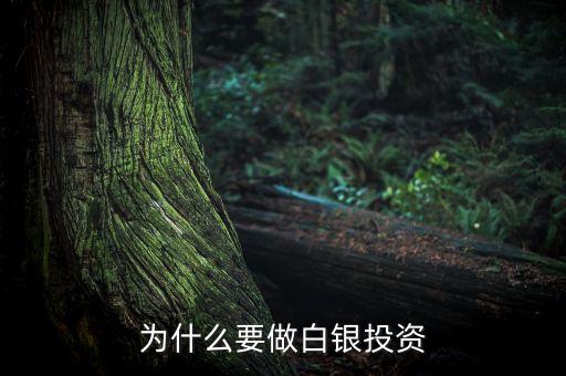 為什么要做白銀投資，為什么要投資白銀