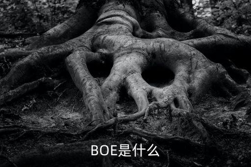 BOE是什么