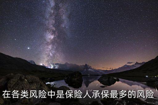 在各類風險中是保險人承保最多的風險