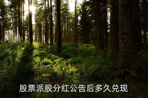 股票分配方案什么時候兌現(xiàn)，股票公布分紅多久才兌現(xiàn)