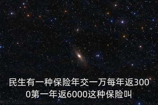 人保的交1萬返3000的險是什么險，民生有一種保險年交一萬每年返3000第一年返6000這種保險叫