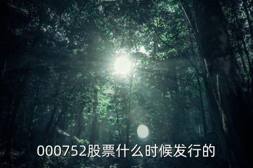 九泰銳富什么時候發(fā)行，000752股票什么時候發(fā)行的