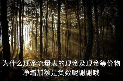 為什么現(xiàn)金流量表的現(xiàn)金及現(xiàn)金等價(jià)物凈增加額是負(fù)數(shù)呢謝謝哦