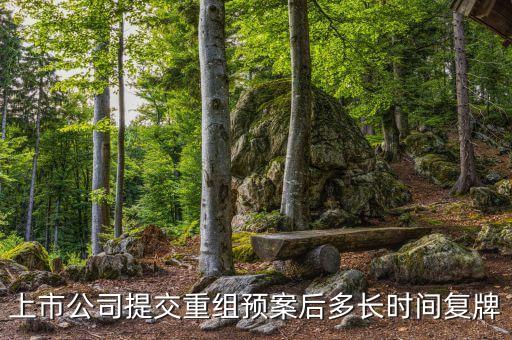 股票重組后一般什么時候復牌呢，上市公司提交重組預案后多長時間復牌
