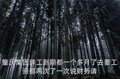 童氏集團辭工到期都一個多月了去要工資都兩次了一次說財務(wù)請