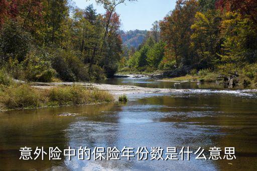 保險數(shù)目指什么，意外險中的保險年份數(shù)是什么意思