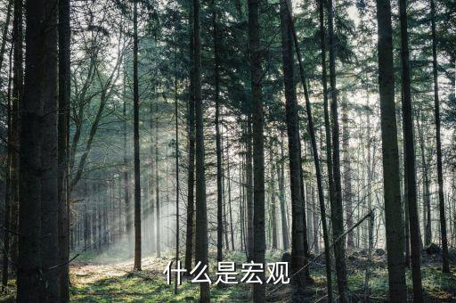 TA宏觀是什么，什么是宏觀