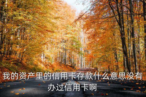 我的資產(chǎn)里的信用卡存款什么意思沒有辦過信用卡啊