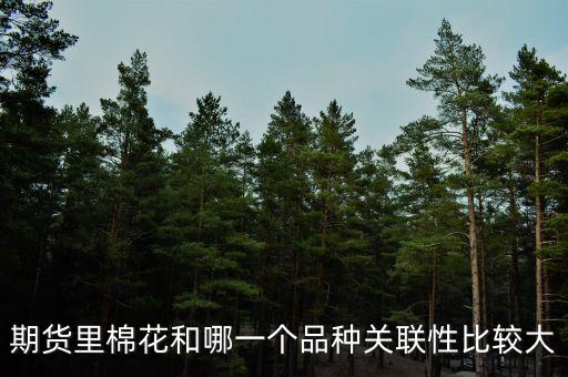 期貨里棉花和哪一個品種關(guān)聯(lián)性比較大