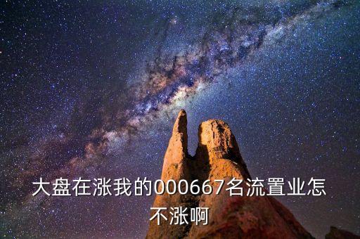 000667基金為什么不漲，大盤在漲我的000667名流置業(yè)怎不漲啊