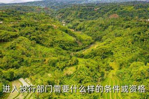 進(jìn)入投行部門(mén)需要什么樣的條件或資格