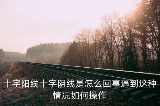 什么是十字陰線，請問股票里面經(jīng)常說到的 十字星 陽線 陰線 分別是什么請簡單明了的