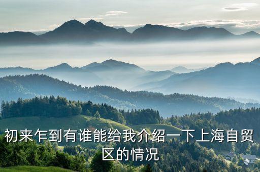 上海自貿(mào)區(qū)在什么時(shí)候成立的，經(jīng)濟(jì)自貿(mào)區(qū)的起始時(shí)間是