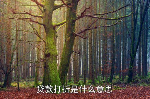 商貸利率打折什么意思，商業(yè)貸款利率折扣倍是什么意思也老聽房地產(chǎn)銷售人員說是什