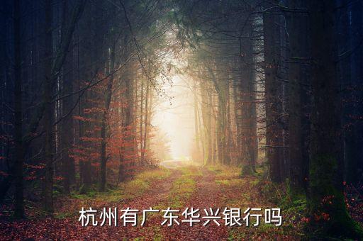 廣東華興銀行貸款給什么企業(yè)，杭州有廣東華興銀行嗎