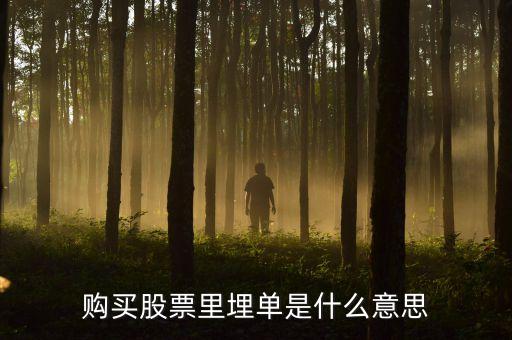 什么是價格埋單，股票交易中 實時買入 和 埋單買入 的 區(qū)別