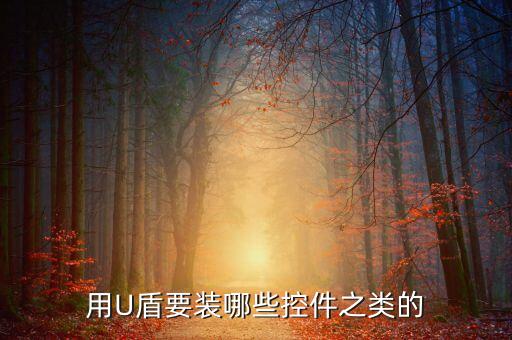 用u盾需要安裝什么，用U盾要裝哪些控件之類的