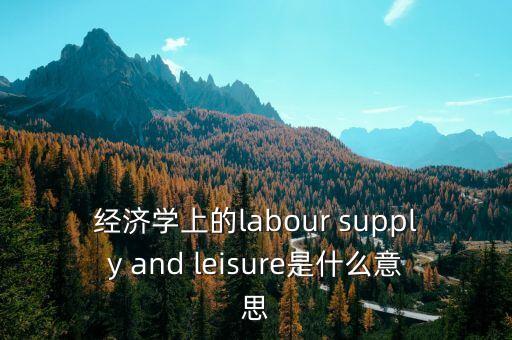 經(jīng)濟學上的labour supply and leisure是什么意思