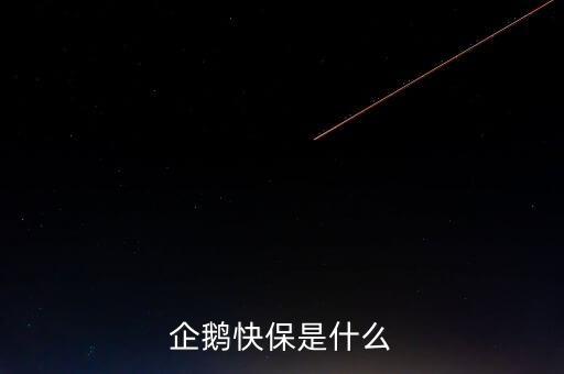 快保保險(xiǎn)是什么公司，企鵝快保是什么