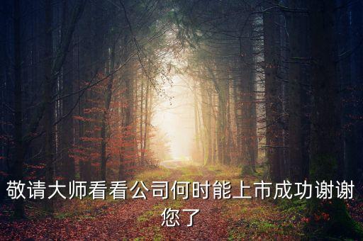 建藝集團什么時間申請上市的，敬請大師看看公司何時能上市成功謝謝您了