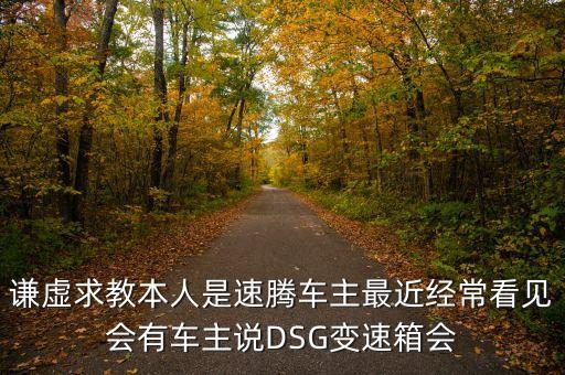 謙虛求教本人是速騰車主最近經(jīng)?？匆姇?huì)有車主說DSG變速箱會(huì)