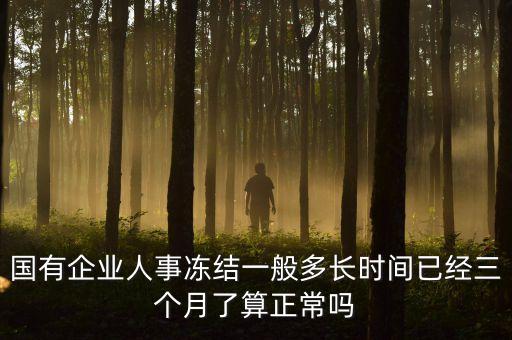 人事凍結什么意思，什么是人事凍結哦求解釋