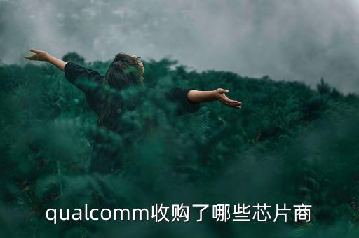 保千里收購(gòu)什么公司，保千里股票以前叫什么