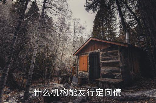 什么機構(gòu)能發(fā)行定向債