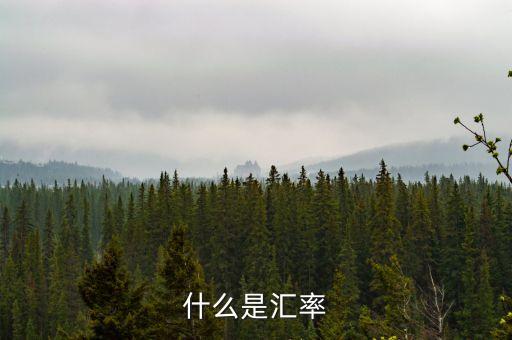 什么是匯率換算，什么是匯率