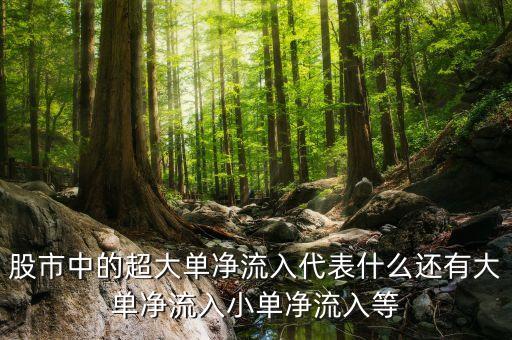 什么叫超大單，股市中的超大單凈流入代表什么還有大單凈流入小單凈流入等