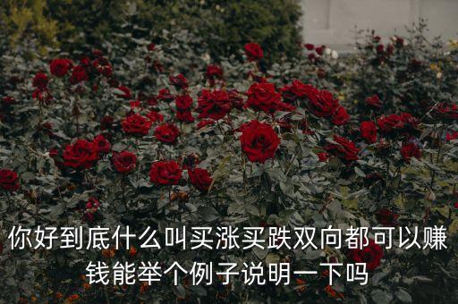買漲買跌是叫什么的，買漲與買跌是什么意思啊