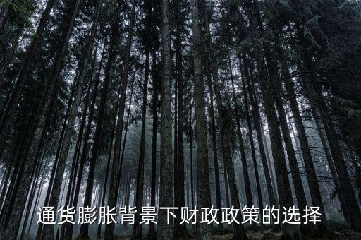 通貨膨脹采用什么政策，通貨膨脹背景下財政政策的選擇