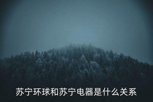 蘇寧與蘇寧環(huán)球什么關系，蘇寧環(huán)球和蘇寧電器是什么關系