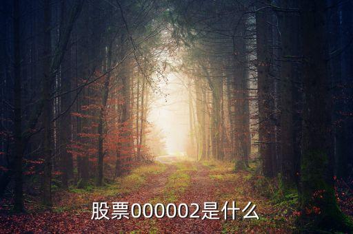 a股指數(shù)000002是什么，股票000002是什么