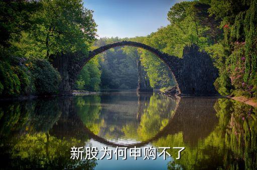 為什么新股不能申購(gòu)，新股為何申購(gòu)不了