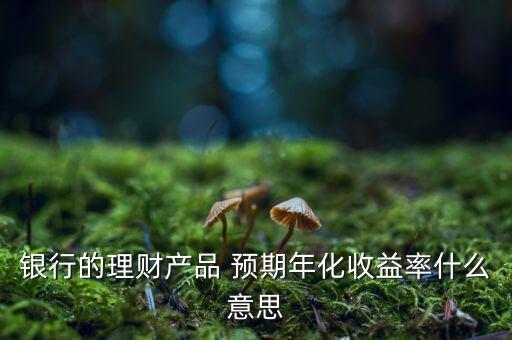 銀行的理財產(chǎn)品 預(yù)期年化收益率什么意思