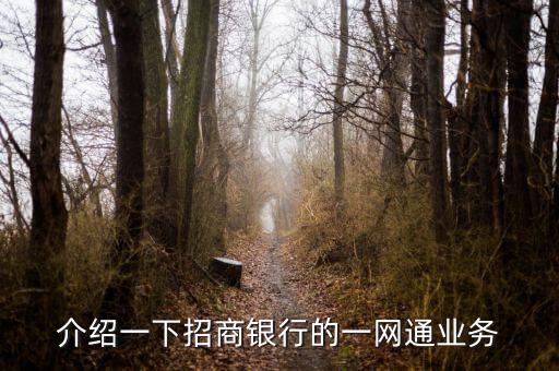 招商銀行一網(wǎng)通是什么，誰(shuí)比較了解招行的網(wǎng)銀這個(gè)一網(wǎng)通賬號(hào)是什么鬼