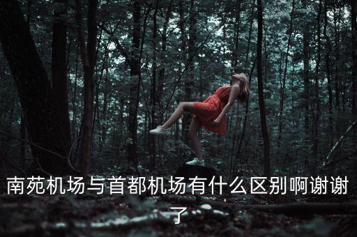 南苑機(jī)場(chǎng)與首都機(jī)場(chǎng)有什么區(qū)別啊謝謝了