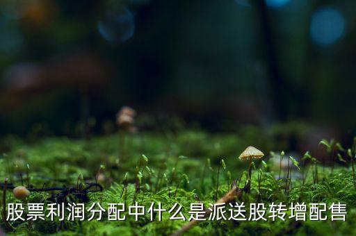 股本分紅里的轉(zhuǎn)增和配送是什么意思，分紅配股還有轉(zhuǎn)增是什么意思