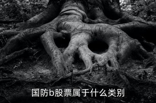 國防b母基金是什么股票，中航軍b國投創(chuàng)b國紡b幻是軍工股的基金嗎