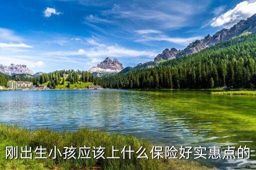 寶寶便宜實惠的保險有什么，剛出生小孩應(yīng)該上什么保險好實惠點的
