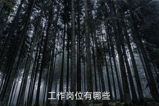 工作崗位有哪些