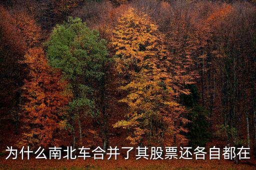 中國南北車為什么合并，為什么南北車合并了其股票還各自都在