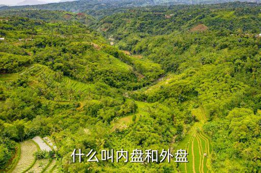 什么叫內(nèi)盤和外盤
